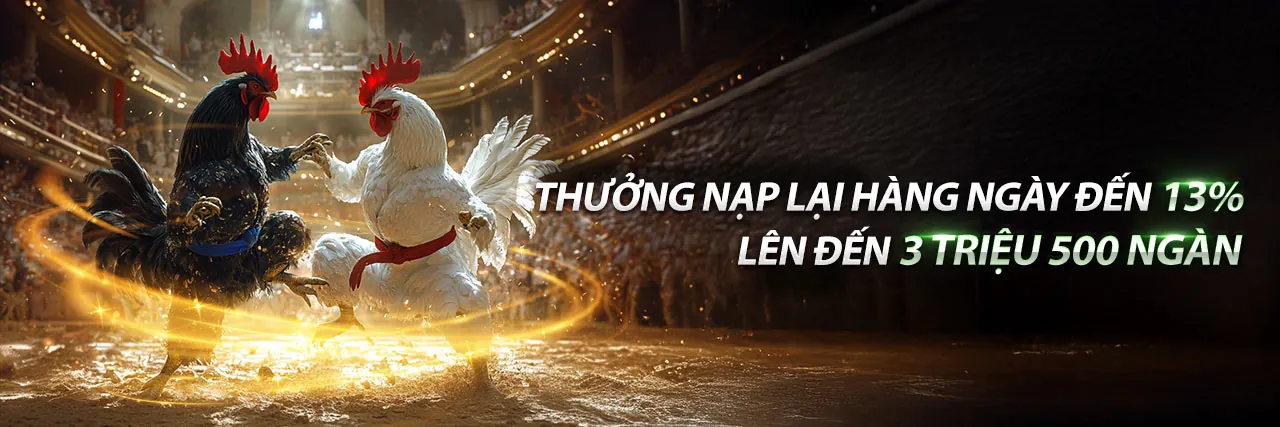 Không gian VIP sang trọng của tg88 ok